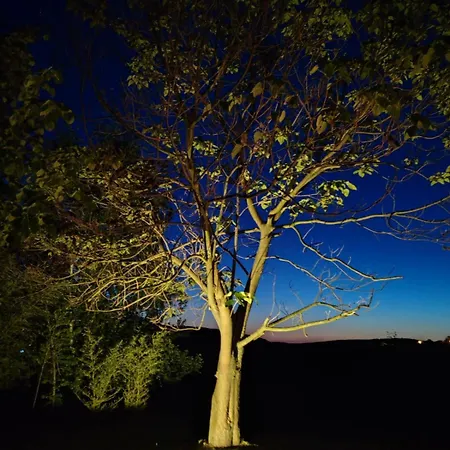 Vakantiehuis Art House Kosmaj 1