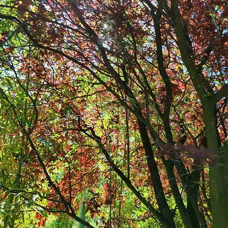 Art House Kosmaj 1 Sopot