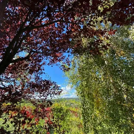 Vakantiehuis Art House Kosmaj 1 Sopot