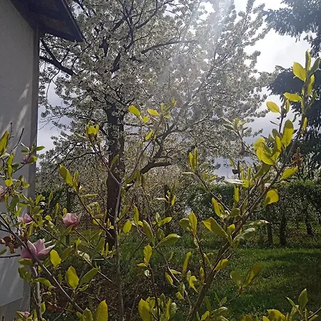 Vakantiehuis Art House Kosmaj 1 Sopot