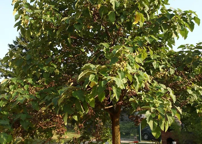 Art House Kosmaj 1 Nyaraló Sopot