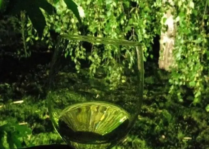 Art House Kosmaj 1 Nyaraló *