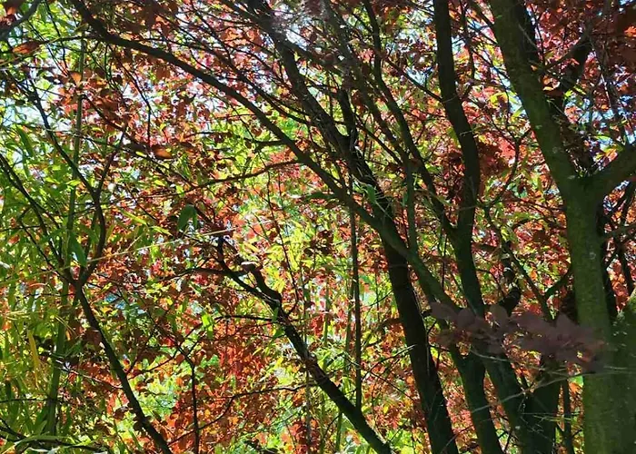 Art House Kosmaj 1 Sopot