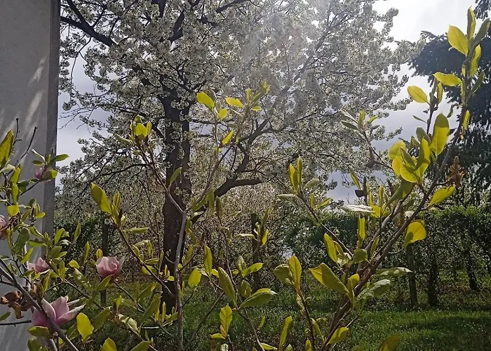 Nyaraló Art House Kosmaj 1 Sopot